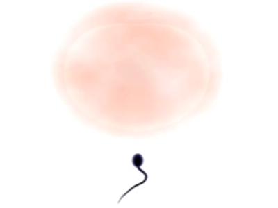 Thumbnail of post image 135