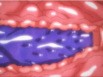 Thumbnail of post image 040